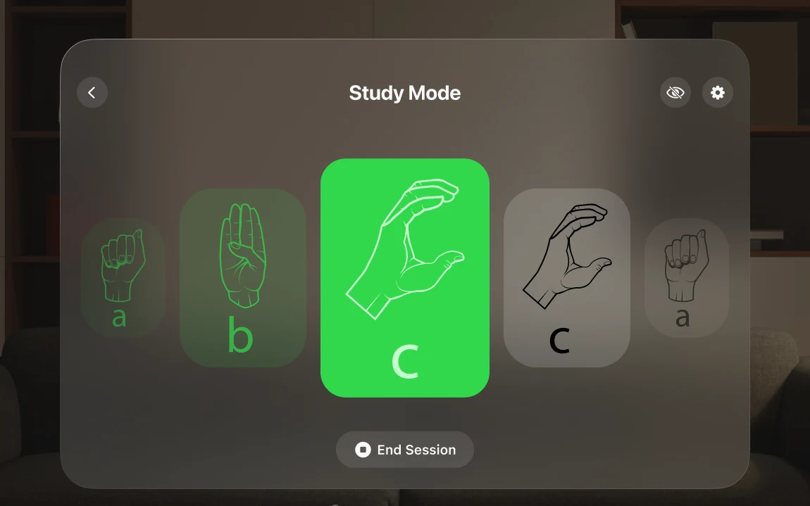 Study mode with the card for C turned green: the sign was right